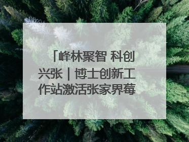 峰林聚智 科创兴张｜博士创新工作站激活张家界莓茶产业新动能