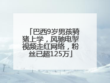 巴西9岁男孩骑猪上学，风驰电掣视频走红网络，粉丝已超125万