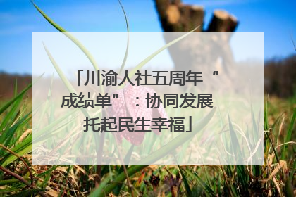 川渝人社五周年“成绩单”：协同发展托起民生幸福