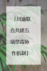 川渝联合共建五项禁毒协作机制