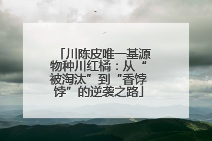 川陈皮唯一基源物种川红橘：从“被淘汰”到“香饽饽”的逆袭之路