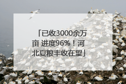 已收3000余万亩 进度96%！河北夏粮丰收在望