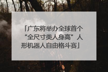广东将举办全球首个“全尺寸类人身高”人形机器人自由格斗赛