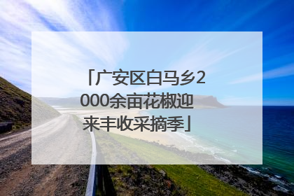 广安区白马乡2000余亩花椒迎来丰收采摘季
