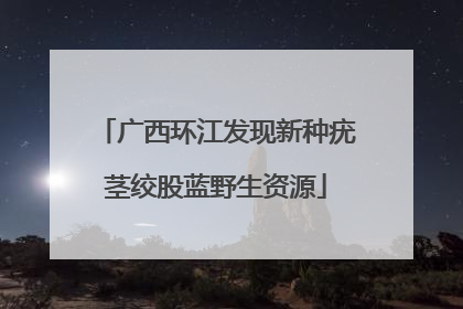 广西环江发现新种疣茎绞股蓝野生资源