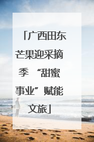 广西田东芒果迎采摘季 “甜蜜事业”赋能文旅
