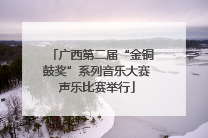 广西第二届“金铜鼓奖”系列音乐大赛声乐比赛举行