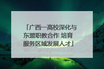 广西一高校深化与东盟职教合作 培育服务区域发展人才