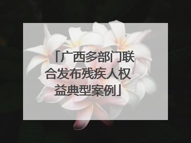 广西多部门联合发布残疾人权益典型案例