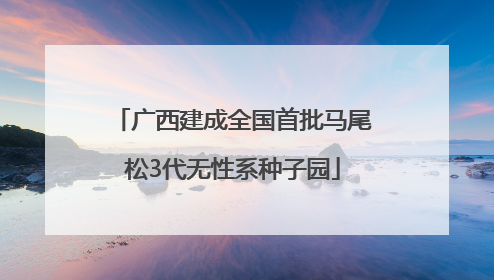 广西建成全国首批马尾松3代无性系种子园