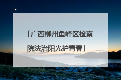 广西柳州鱼峰区检察院法治阳光护青春