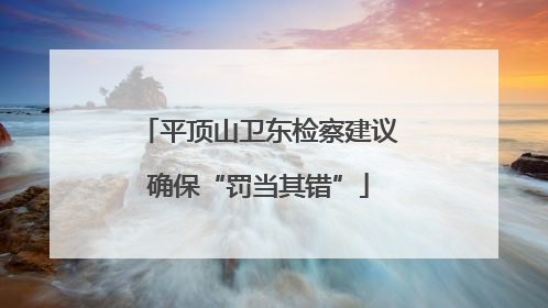 平顶山卫东检察建议确保“罚当其错”