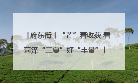 府东街丨“芒”着收获 看菏泽“三夏”好“丰景”