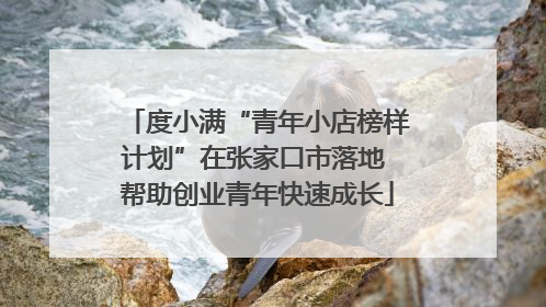 度小满“青年小店榜样计划”在张家口市落地 帮助创业青年快速成长