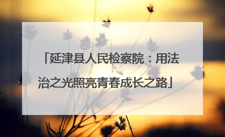 延津县人民检察院：用法治之光照亮青春成长之路