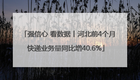 强信心 看数据丨河北前4个月快递业务量同比增40.6%