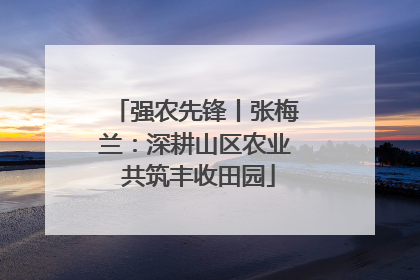 强农先锋丨张梅兰：深耕山区农业 共筑丰收田园