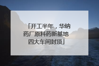 开工半年，华纳药厂原料药新基地四大车间封顶