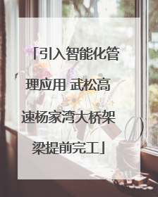 引入智能化管理应用 武松高速杨家湾大桥架梁提前完工