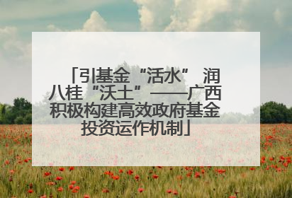 引基金“活水” 润八桂“沃土”——广西积极构建高效政府基金投资运作机制