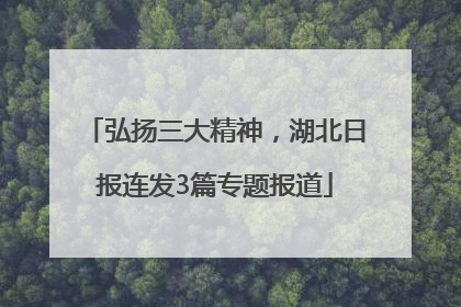 弘扬三大精神，湖北日报连发3篇专题报道