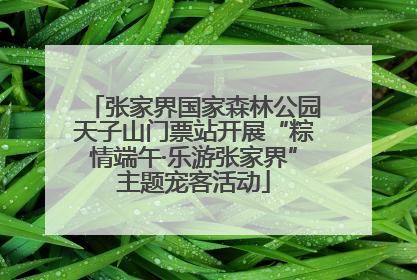 张家界国家森林公园天子山门票站开展“粽情端午·乐游张家界”主题宠客活动
