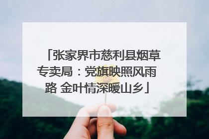 张家界市慈利县烟草专卖局：党旗映照风雨路 金叶情深暖山乡