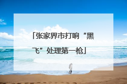 张家界市打响“黑飞”处理第一枪