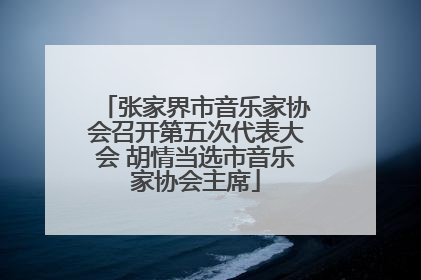 张家界市音乐家协会召开第五次代表大会 胡情当选市音乐家协会主席
