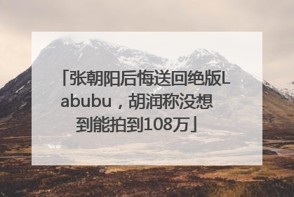 张朝阳后悔送回绝版Labubu，胡润称没想到能拍到108万