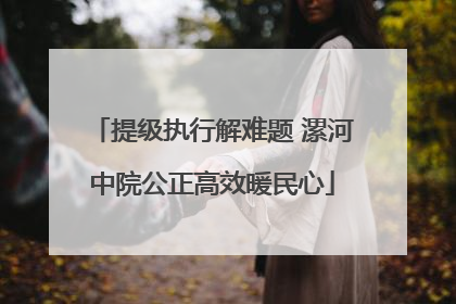 提级执行解难题 漯河中院公正高效暖民心