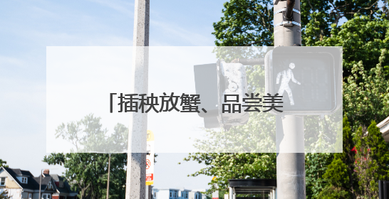 插秧放蟹、品尝美食！这个周末，吉报小记者有点忙
