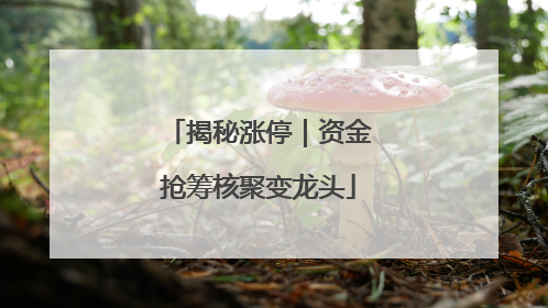 揭秘涨停｜资金抢筹核聚变龙头