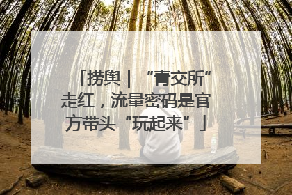 捞舆｜“青交所”走红，流量密码是官方带头“玩起来”