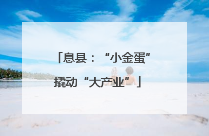 息县：“小金蛋”撬动“大产业”