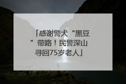 感谢警犬“黑豆”带路！民警深山寻回75岁老人