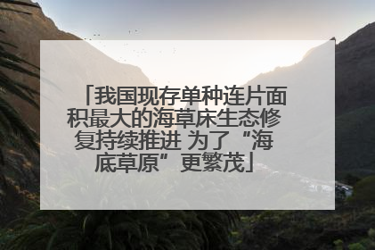我国现存单种连片面积最大的海草床生态修复持续推进 为了“海底草原”更繁茂