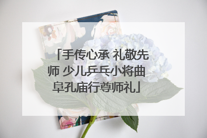 手传心承 礼敬先师 少儿乒乓小将曲阜孔庙行尊师礼