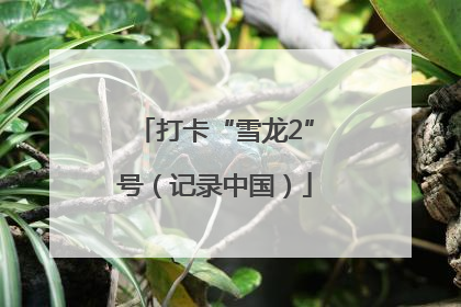 打卡“雪龙2”号（记录中国）