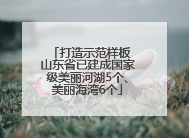 打造示范样板 山东省已建成国家级美丽河湖5个、美丽海湾6个