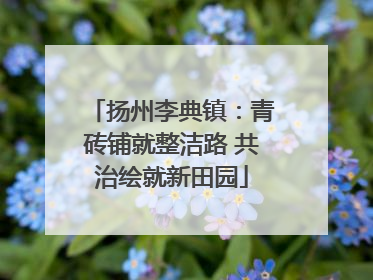 扬州李典镇：青砖铺就整洁路 共治绘就新田园