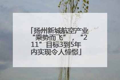 扬州新城航空产业“乘势而飞”，“211”目标3到5年内实现令人憧憬