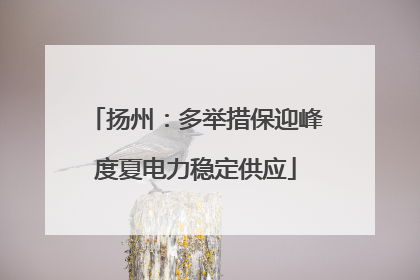 扬州：多举措保迎峰度夏电力稳定供应