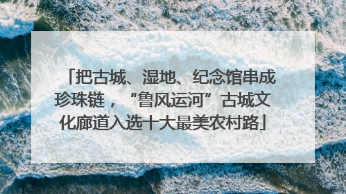 把古城、湿地、纪念馆串成珍珠链，“鲁风运河”古城文化廊道入选十大最美农村路
