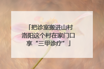 把诊室搬进山村 洛阳这个村在家门口享“三甲诊疗”