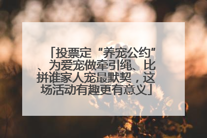投票定“养宠公约”、为爱宠做牵引绳、比拼谁家人宠最默契，这场活动有趣更有意义