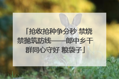 抢收抢种争分秒 禁烧禁抛筑防线——郎中乡干群同心守好 粮袋子