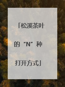 松溪茶叶的“N”种打开方式