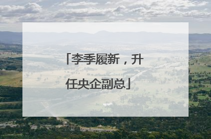 李季履新，升任央企副总