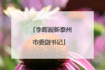 李晖履新泰州市委副书记